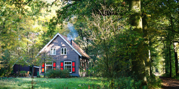 Westlake Landscaping Fire Safety