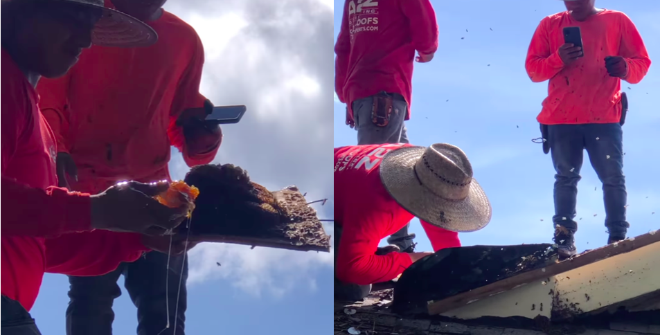 A2Z Roofing in Florida