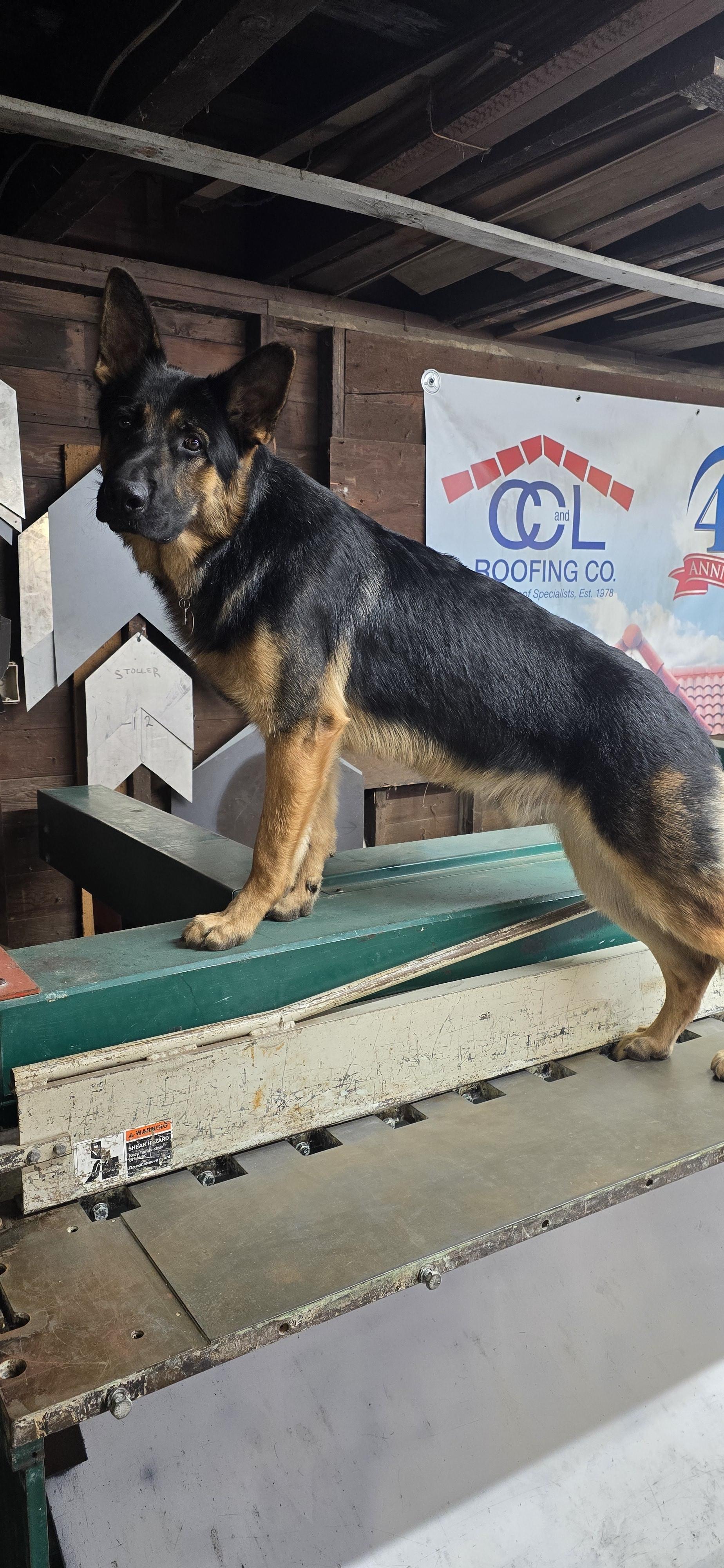 CC&L Roofing Co. of Portland, Oregon