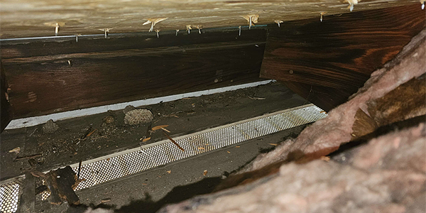 Q&A – Soffit installation issue