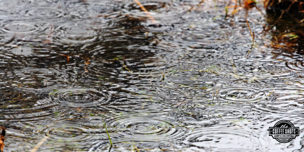 Q&A – Water shedding and bird stop holes