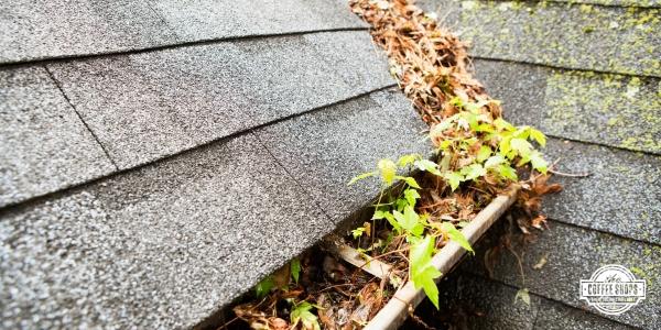 What clogged gutters can do to your home