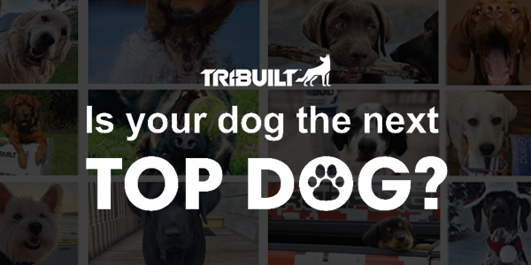 Show off your furry friend!