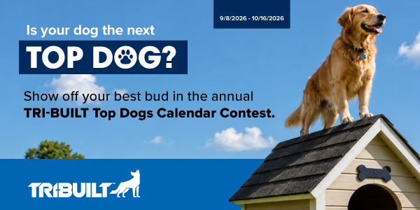TB-Top-dog-web-banners-600x300.png